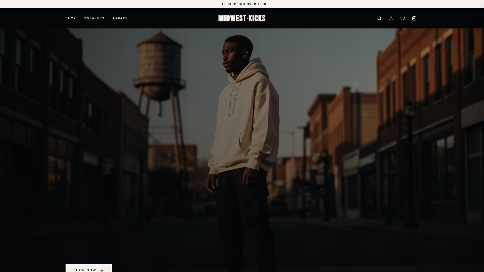 Professional client website